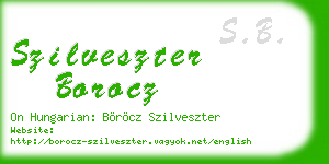szilveszter borocz business card