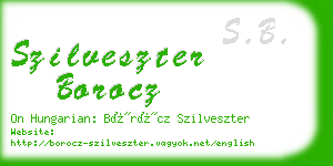 szilveszter borocz business card